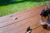 Composite decking