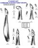 Extraction Forceps