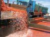 Turnkey Industrial Tomato ketchup/paste/paste Processing Line/machinery