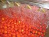 Turnkey Industrial Tomato ketchup/paste/paste Processing Line/machinery