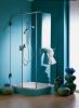shower screen /shower ...