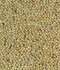 White Pepper