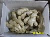 Fresh ginger/air dried...