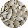pumpkin seeds