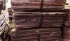 COPPER CATHODES