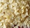 Dehydrated Garlic Flakes