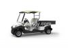 2014 New Cargo Golf Ca...