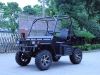 With doors  UTV 800cc ...