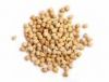 Chick Peas
