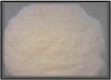 Cement (42.5)