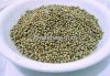 Bird Feed Pearl Millet