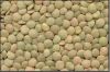 lentils