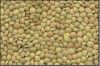 lentils