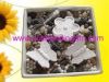 ceramic charms/gift-ou...