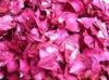 rose essential oil