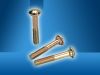 Carriage Bolt (Auto Pa...