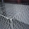 gabion mesh