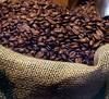 Export Arabica Coffee ...