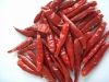 chaotian chilli