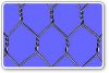 Hexagonal Wire Mesh
