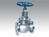 Globe Valves
