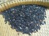 Black Sweet rice (Balck Glutinous Rice)