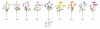 Single Stem Cosmos Bip...