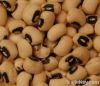 Cowpeas