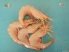 Fresh White Prawn (Pap...