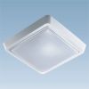 LED Ceiling Light