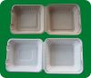 sugarcane bagasse to go containers