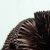 Hand weft / Machine we...