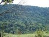 CARBON CREDITS FROM 240 HECTARE NATIVE FOREST IN BRAZIL.