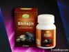 Shilajit Capsules