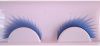 False Eyelashes
