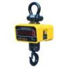 Electronic Crane Weighing Scale