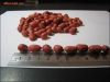 Red Skin  Peanuts of J...