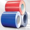 Steel Coil- Galvanized steel coil - steel coil stockist in uae