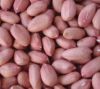 Raw Peanut Kernels