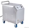 steam cleaner/ steam washer