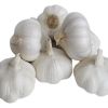 Chinese normal white g...