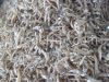 DRIED ANCHOVY HEAD ON ...