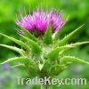 Milk Thistle Extract