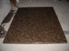 Baltic Brown Countertop