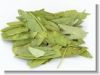 Senna Leaf Extract