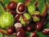 List of botanical extr...