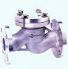 Check Valves