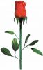 Feather Rose