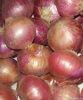 Fresh Red Onion