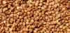 roasted buckwheat kernel